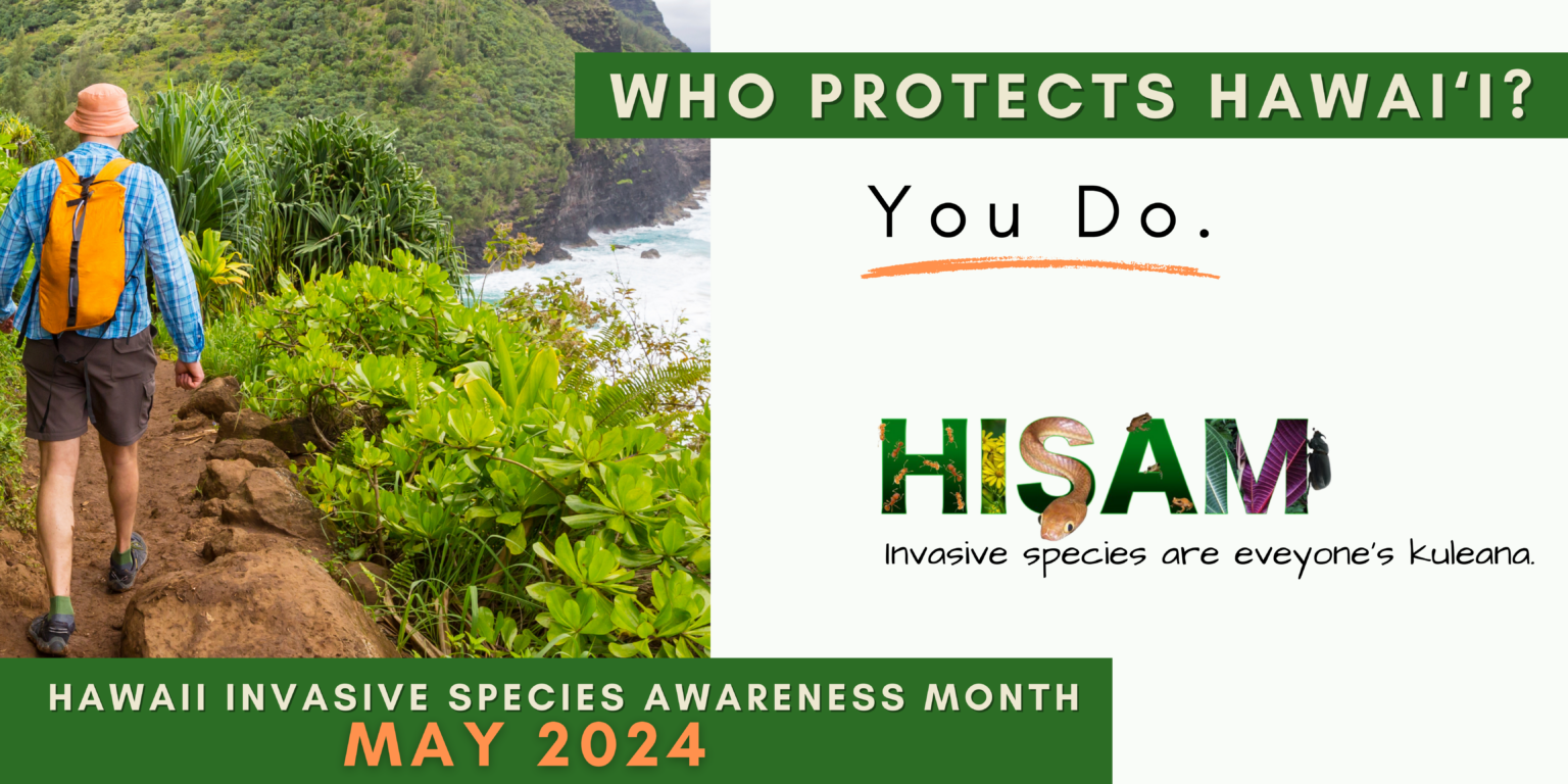 It's Hawaiʻi Invasive Species Awareness Month! - Big Island Invasive ...