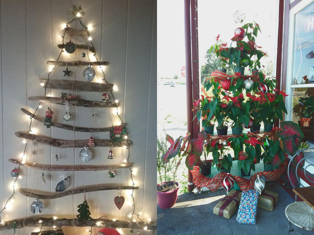 driftwood holiday tree and anthurium tree